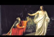 Mary Had A Little Dream