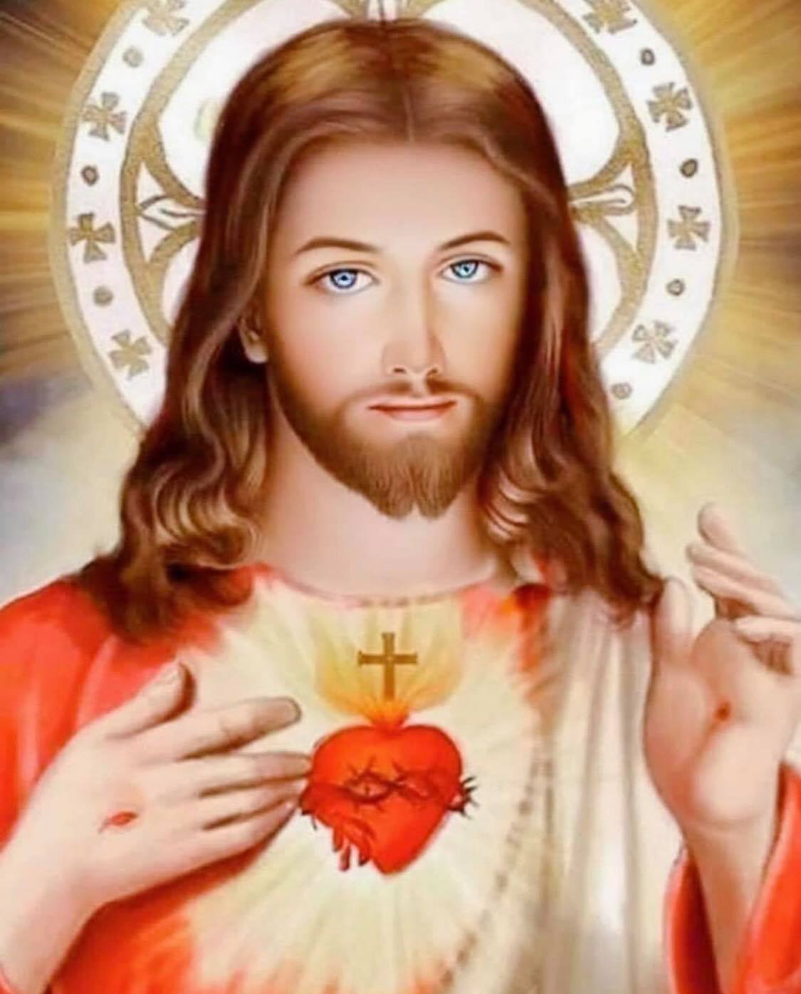 Act Of Contrition To The Sacred Heart Of Jesus - Vcatholic