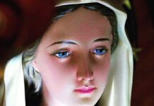 Motives Which Recommend This Devotion