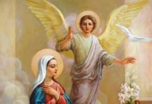 Where is the Hail Mary in the Bible ?