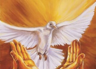 Book Of Hope – Study Series Chapter -2