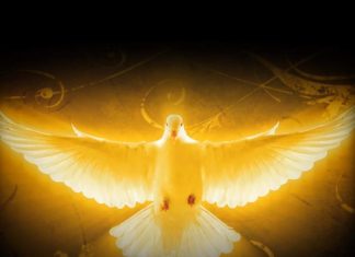 Novena to the The Holy Spirit: Day 8