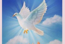 Novena to the The Holy Spirit: Day 7