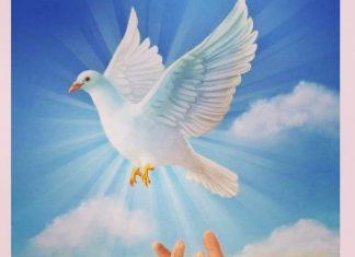 Novena to the The Holy Spirit: Day 7
