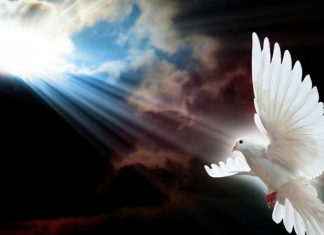 Novena to the The Holy Spirit: Day 9