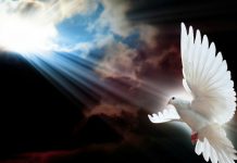 Novena to the The Holy Spirit: Day 1