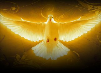 Novena to the The Holy Spirit: Day 4