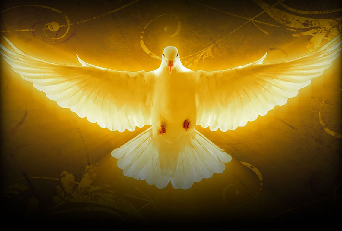 Novena to the The Holy Spirit Day 4 Vcatholic