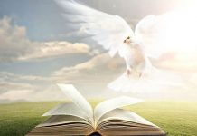 Novena to the The Holy Spirit: Day 3