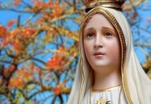 The Value Of The Morning Offering Of Reparation