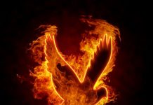 What is born of spirit