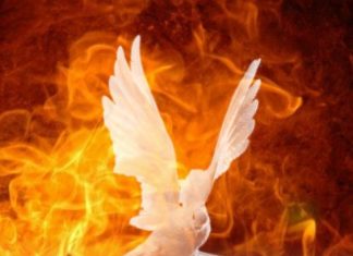 Monday Devotion To Holy Spirit