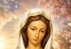 Devotions to Maria Rosa Mystica